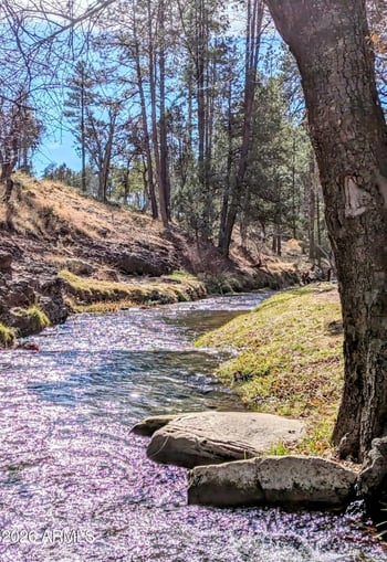 298 Conifer Dr, Payson, AZ 85541