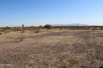 298xx Lone Mountain Rd #242, Wittmann, AZ 85361