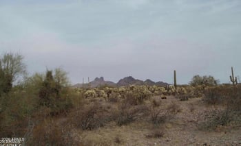 29900 315th Ave #96 7, Wittmann, AZ 85361