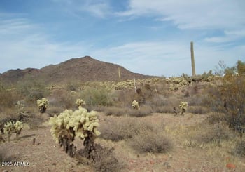 29980 Restin Rd #146, Unincorporated County, AZ 85361