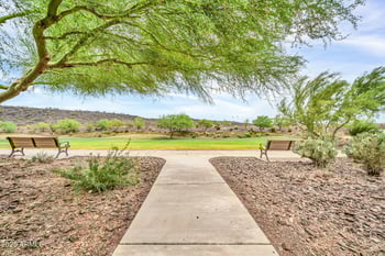 29994 115th Dr, Peoria, AZ 85383