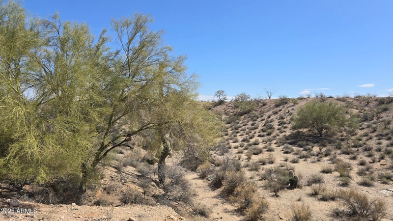 2999X Forest Pleasant Pl #-, Wittmann, AZ 85361