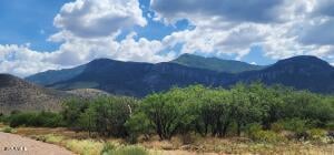 3.68AC Ramsey Canyon Rd #B, Hereford, AZ 85615