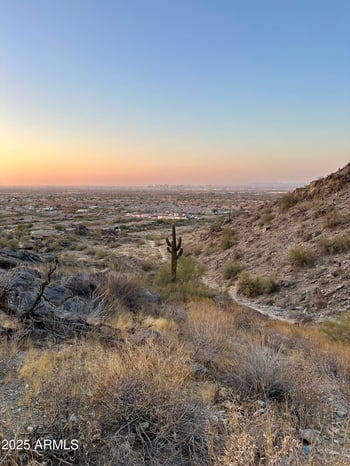 3010 Desert Ln, Phoenix, AZ 85042