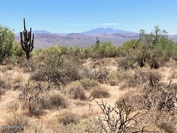 301XX 168th St #--, Scottsdale, AZ 85262