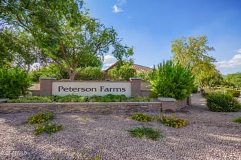 3043 Bluebird Pl, Chandler, AZ 85286
