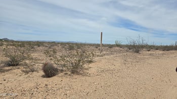304XX W Pinnacle Vista Rd #-, Wittmann, AZ 85361