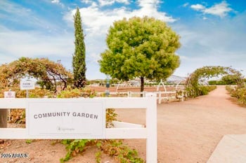 3059 Agritopia Loop, Gilbert, AZ 85296
