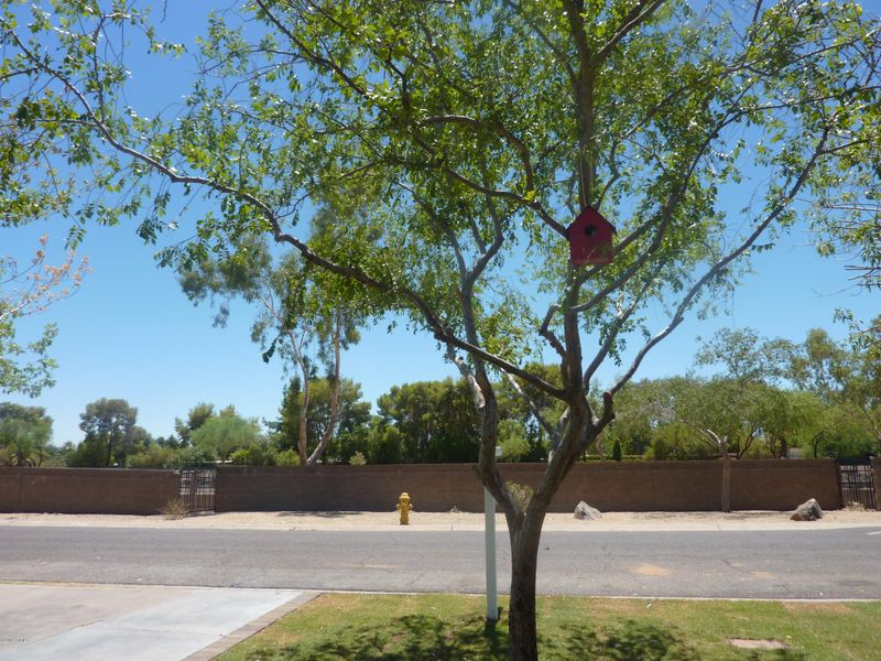 306 E Las Palmaritas Dr, Phoenix, AZ 85020