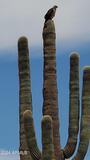 30649 Redbird Rd #159, Unincorporated County, AZ 85390