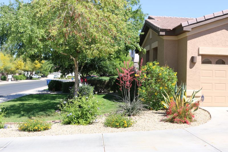 3079 S Larkspur St, Gilbert, AZ 85295