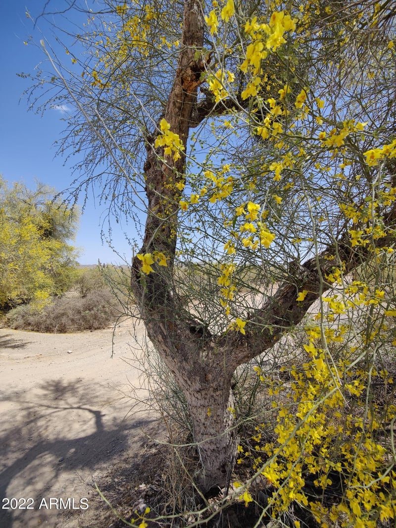 30825 155th Dr #3, Surprise, AZ 85374