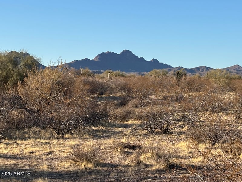 309XX Madlock Rd #117, Wittmann, AZ 85361