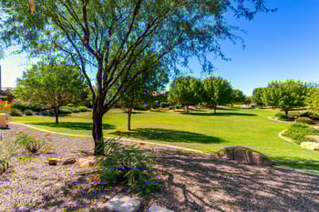 3110 Cat Balue Dr, Phoenix, AZ 85050