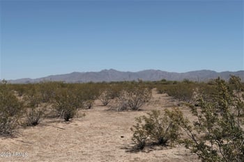 31101 Hazelwood St #80, Buckeye, AZ 85396