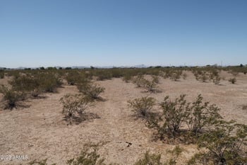 31101 Hazelwood St #80, Buckeye, AZ 85396