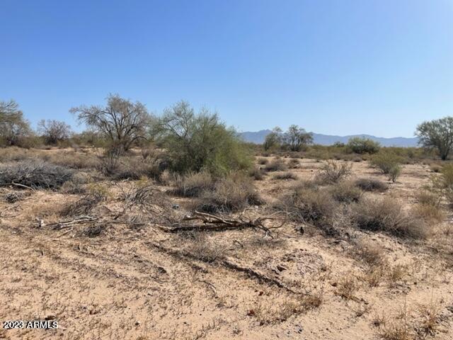 31101 Hazelwood St #80, Buckeye, AZ 85396