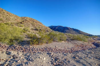 3116 W Briarwood Ter #75, Phoenix, AZ 85045