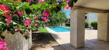 3119 Cochise Dr #114, Phoenix, AZ 85051