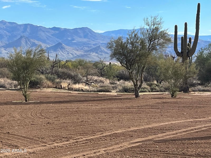 31207 161st Pl, Scottsdale, AZ 85262