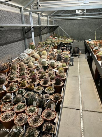 31221 61st St, Cave Creek, AZ 85331