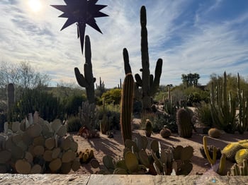 31221 61st St, Cave Creek, AZ 85331