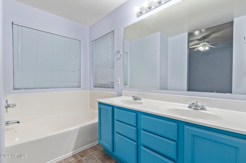 313 N Abalone Dr, Gilbert, AZ 85233
