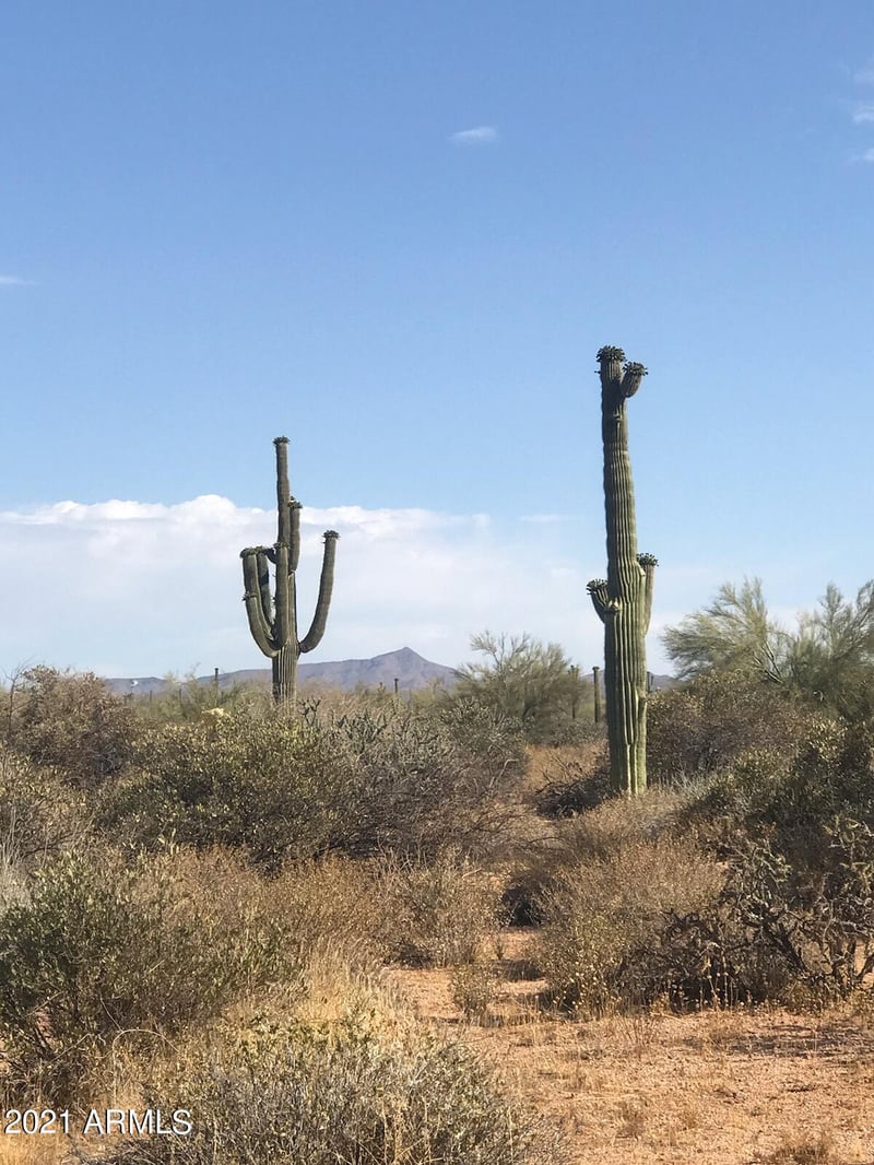 31300 N 173 Rd Pl #-, Rio Verde, AZ 85263