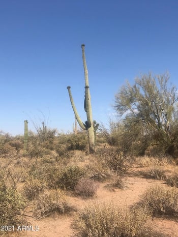 31300 N 173 Rd Pl #-, Rio Verde, AZ 85263
