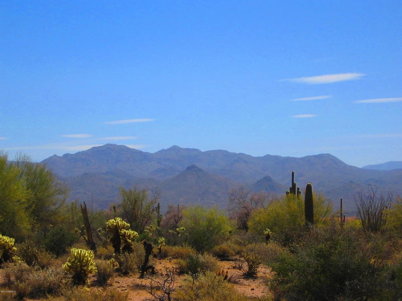 31300 N 173rd Pl #-, Rio Verde, AZ 85263