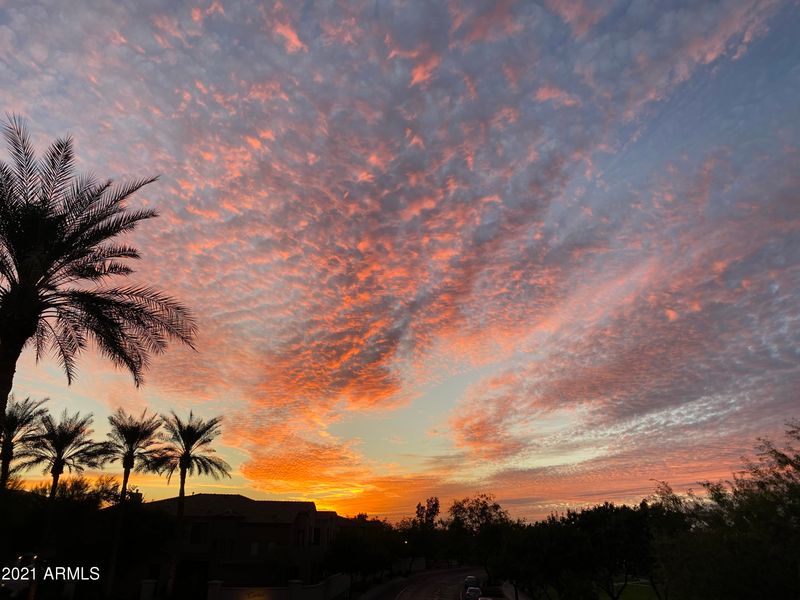 3131 E Legacy Dr #1084, Phoenix, AZ 85042