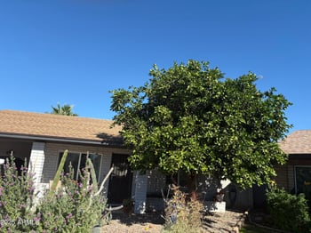 314 Sequoia Dr, Phoenix, AZ 85024