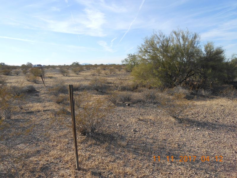 314XX W Earll Dr #185, Buckeye, AZ 85396