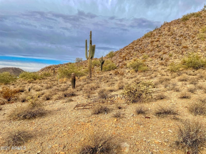 31500 Gary Rd #362, Queen Creek, AZ 85144
