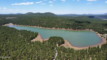 3153 Pinetree Dr, Williams, AZ 86046