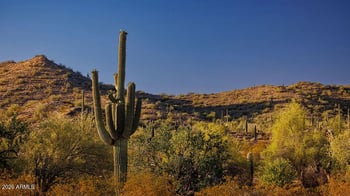 31583 Goldfield Rd, Queen Creek, AZ 85144