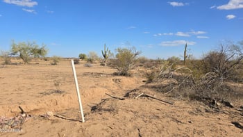 315QQ 255 Ave #-, Wittmann, AZ 85361