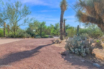 31601 44th St, Cave Creek, AZ 85331
