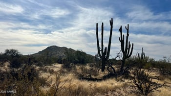 31602 Black Cross Rd #19, Scottsdale, AZ 85266