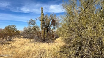 31602 Black Cross Rd #19, Scottsdale, AZ 85266