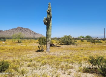 31773 N Thompson Rd, Queen Creek, AZ 85144