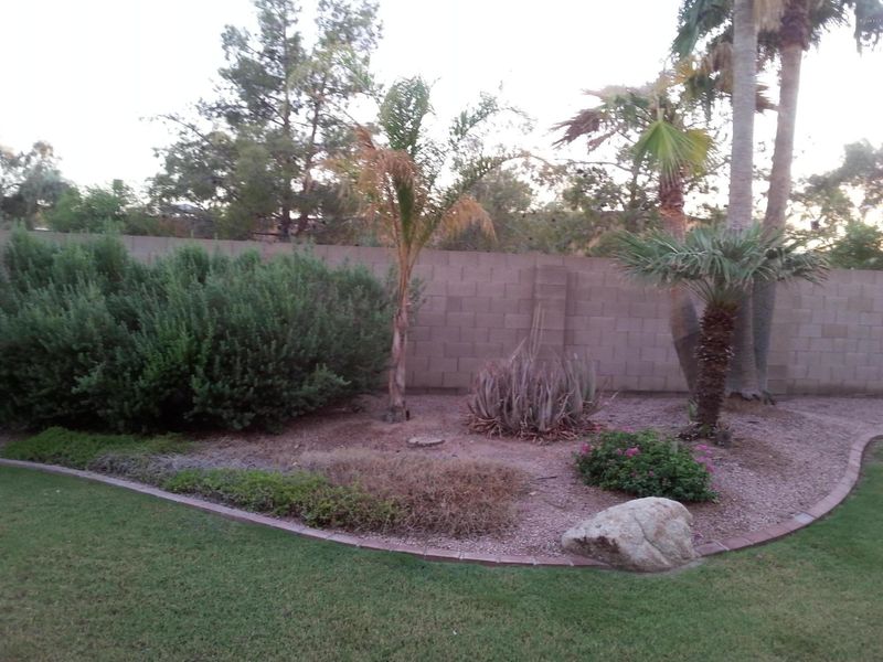 3181 W Stephens Pl, Chandler, AZ 85226