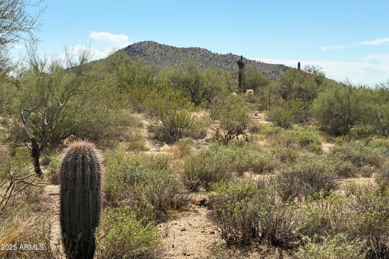 31815 Black Cross Rd #28, Scottsdale, AZ 85266