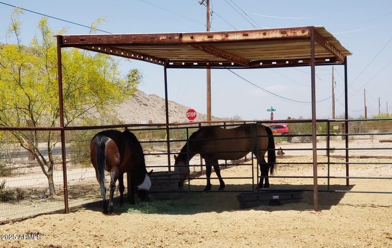 31845 Thompson Rd #5, San Tan Valley, AZ 85144
