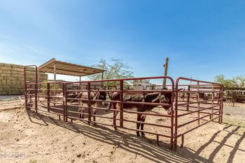 31930 169th Ave, Surprise, AZ 85387