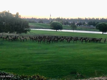 3194 Riviera Way, Flagstaff, AZ 86004