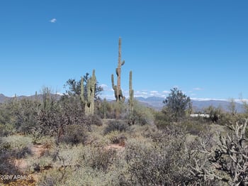 31XXX 166th Pl #-, Scottsdale, AZ 85262