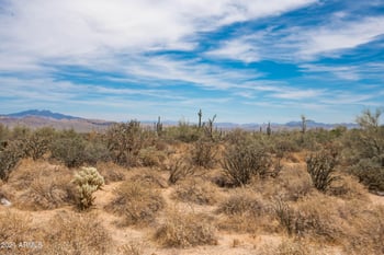 31xxx N 164th St #--, Scottsdale, AZ 85262