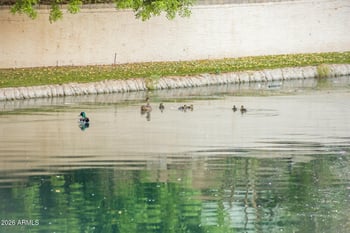 3201 Horizon Pl, Chandler, AZ 85248