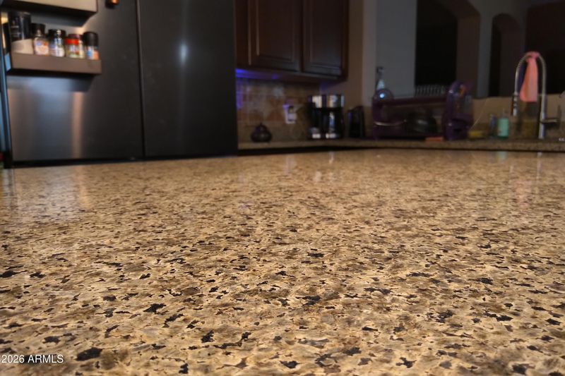 3206 W Dancer Ln, San Tan Valley, AZ 85144